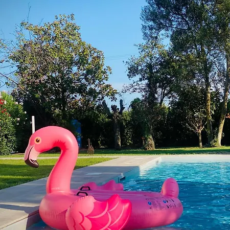 Guest house Arcadia - Sirolo