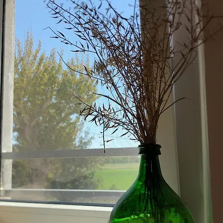 Casa de hóspedes Arcadia -