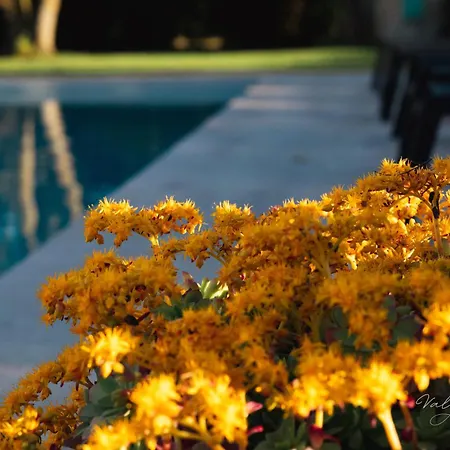 Casa de hóspedes Arcadia - Sirolo